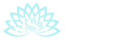 msv logo